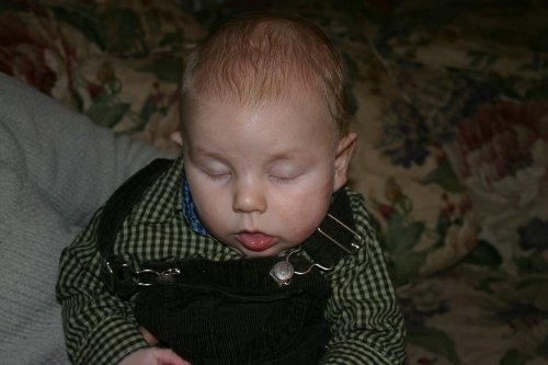 CRW_3347_RJ.JPG