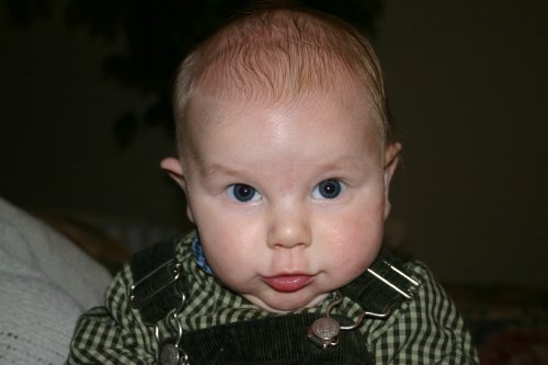 CRW_3356_RJ.JPG