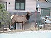 IMG_0281.JPG