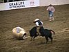 IMG_0419.JPG