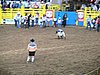 IMG_0422.JPG