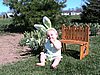 IMG_0559.JPG