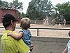 IMG_1142.JPG