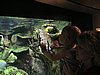 IMG_1151.JPG