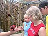 IMG_1167.JPG