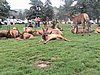 IMG_1188.JPG