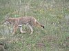 IMG_1216.JPG
