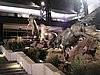 IMG_1263.JPG