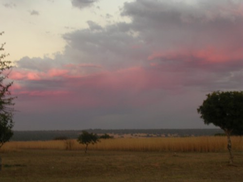 DSCN5174.JPG