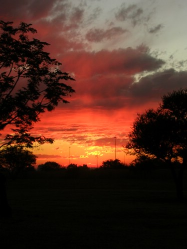 DSCN5183.JPG