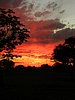 DSCN5183.JPG