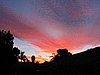IMG_0235.jpg