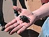 IMG_0661.JPG