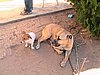 IMG_0662.JPG