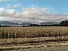 IMG_0765.JPG