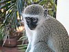 IMG_0779.JPG
