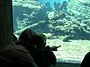 IMG_0786.JPG