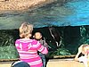 IMG_0802.JPG