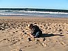 IMG_0813.JPG