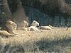 IMG_0933.JPG