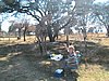 IMG_0935.JPG