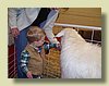 100_0089.JPG