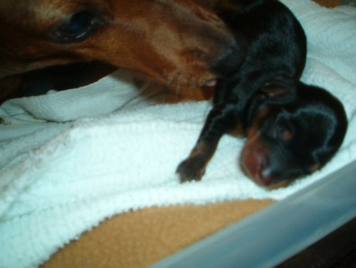 IM003057.JPG