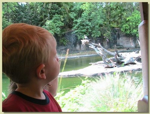 IMG_0546.JPG