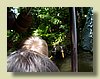 100_0379.JPG