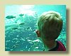 100_0457.JPG