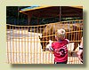 100_0460.JPG