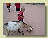 100_0461.JPG