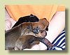 100_0528.JPG