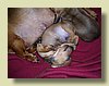 100_0559.JPG
