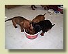 100_0597.JPG