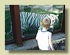 DSCF0008.JPG