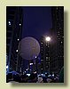 100_0709.JPG