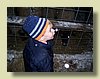 100_0745.JPG