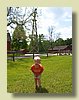 100_1157.JPG