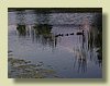 100_0907.JPG