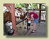 100_1036.JPG