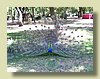 100_1042.JPG