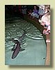 100_1315.JPG