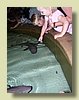 100_1317.JPG