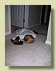 100_1640.JPG