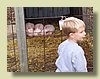 100_1636.JPG