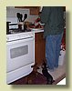 100_1689.JPG
