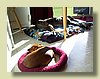 100_1707.JPG
