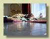 100_1709.JPG