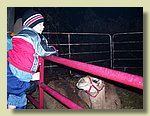 100_1735.JPG